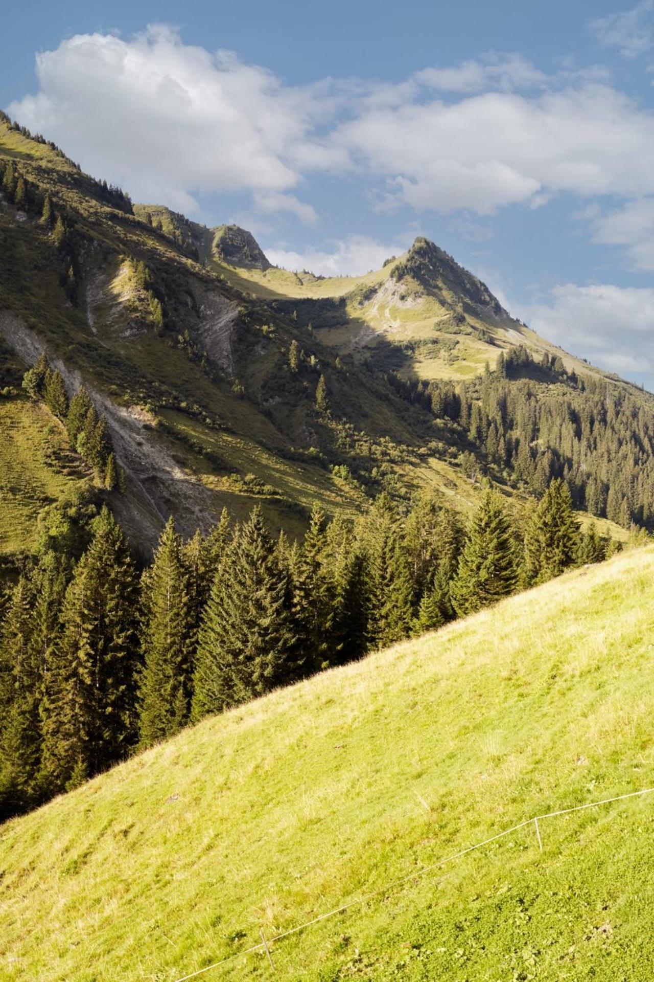 Apartamento Alpenstolz Damuels Haus 4 - Stilvoll Urlauben In Den Bergen Exterior foto